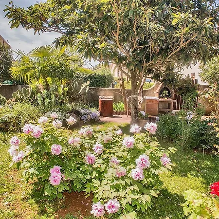 公寓 Lori 法扎纳